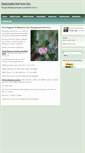 Mobile Screenshot of manzanitaservices.org